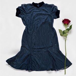 Shimmer Sheer Drop Waist Dress with a touch of whimsy — No Size Label.